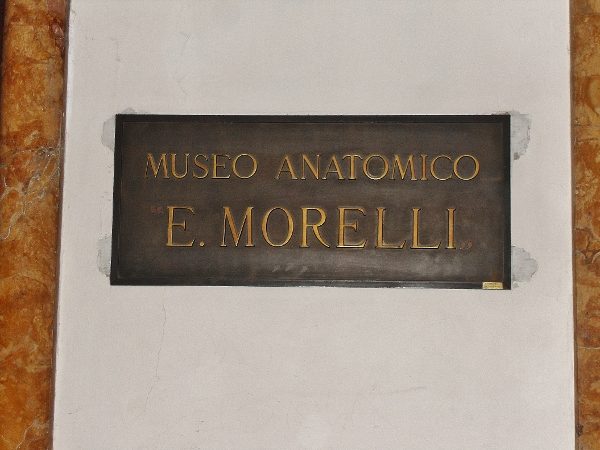 Istituto Carlo Forlanini 2.jpg